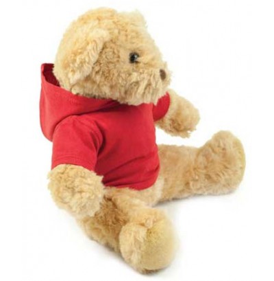Teddy Hoodie